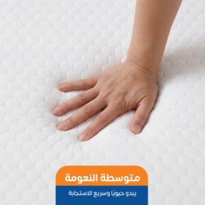 مرتبة رول كمفورت