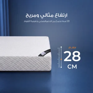 مرتبة رول كمفورت بريميوم
