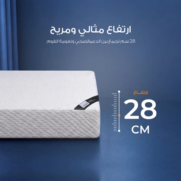 مرتبة رول كمفورت بريميوم